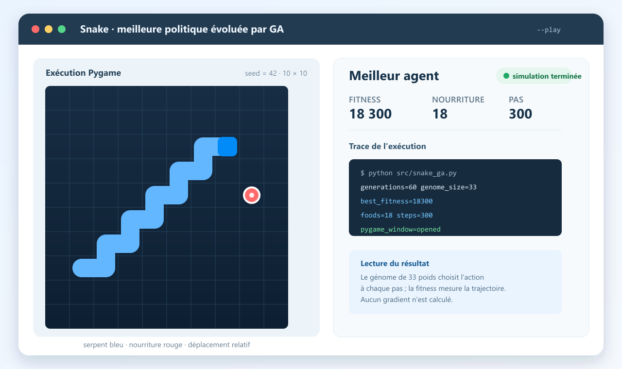 Capture d’écran de l’exécution Pygame montrant le meilleur agent Snake, sa trajectoire et les métriques finales.
